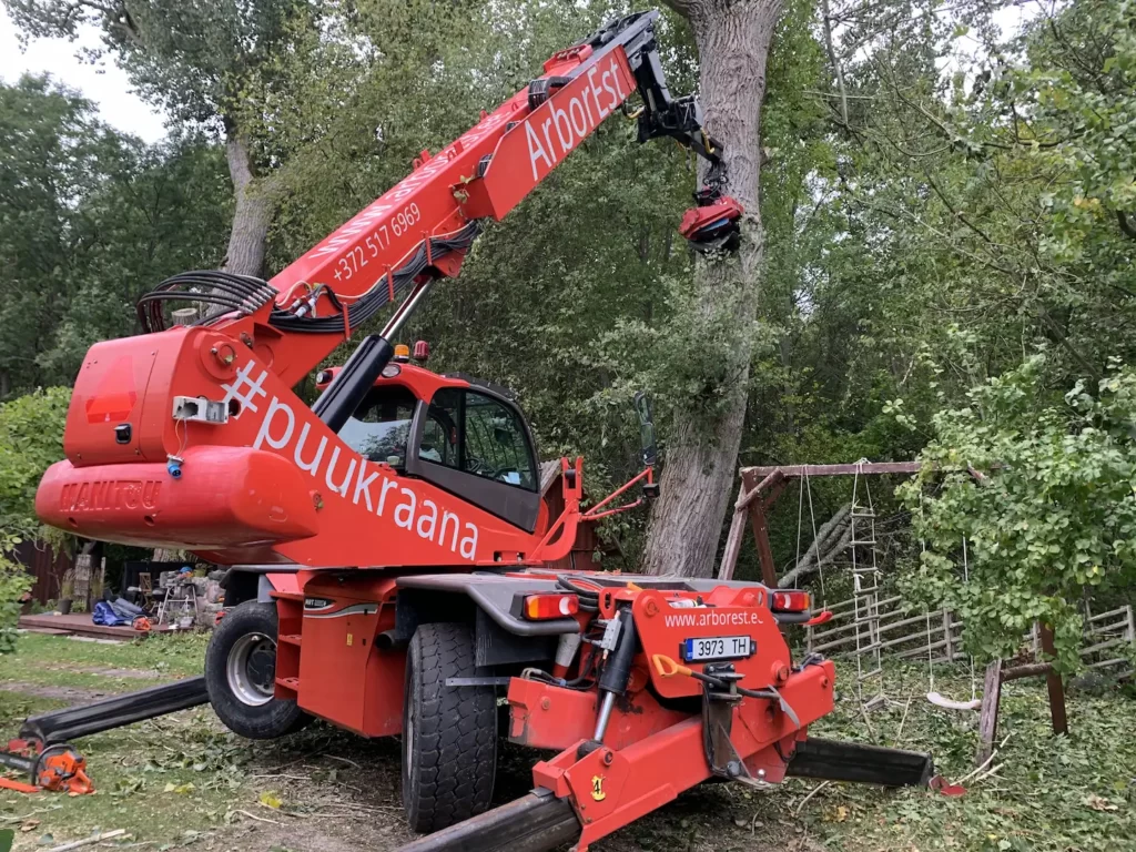 ohtlike puude langetamine