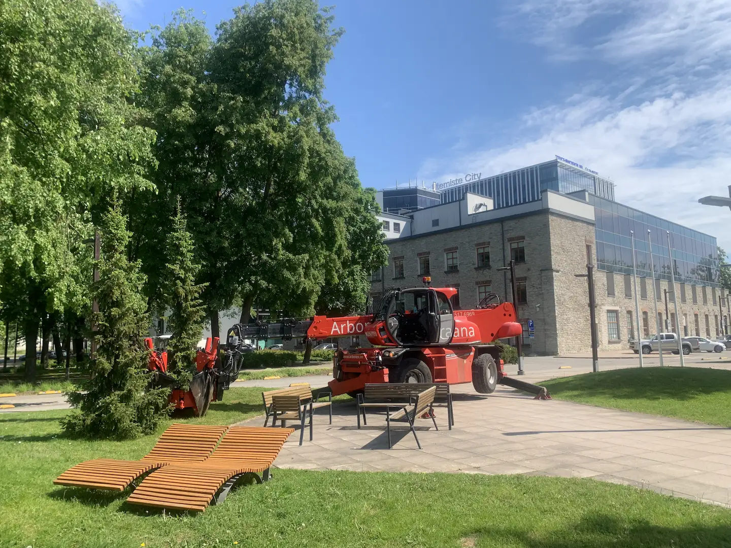 Puude ümberistutamine